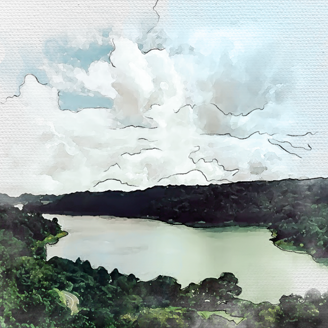 Café Nube de Xicotepec