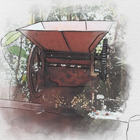 Café Fincas Coatepec