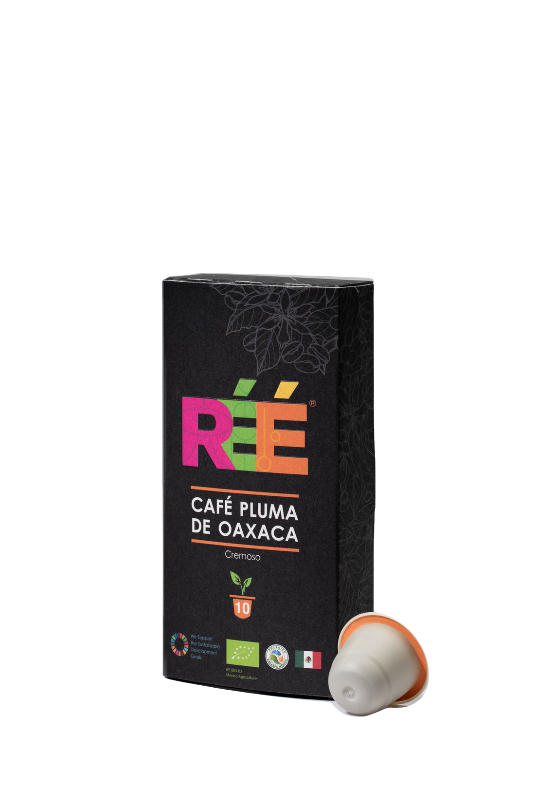 Café Pluma de Oaxaca